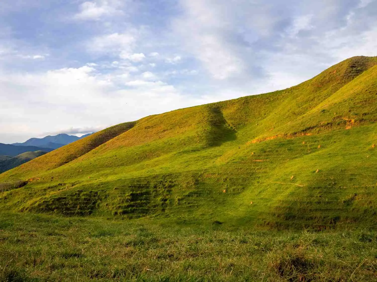 Vagamon Rolling Meadows & Emerald Valleys